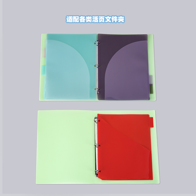 A4 3-Loch-Ordner-Trennblätter  – Tab Divider A4 Bewertung und Preis